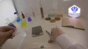 Томат Буржуин F1. СеДеК