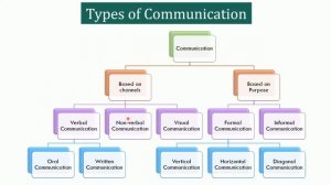 What is Communication? Definition, Process, Types and 7 C's of Communication