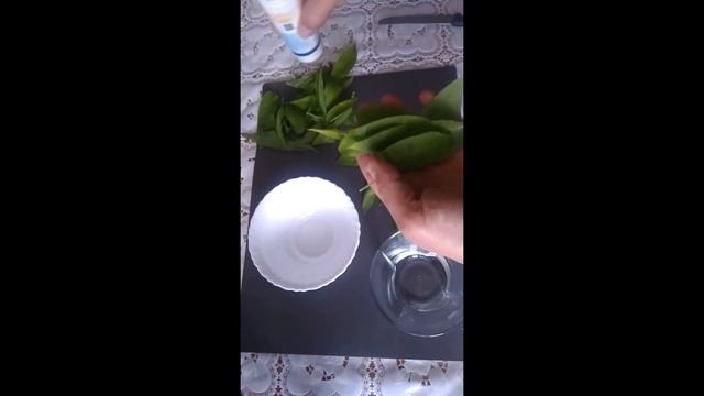 Черемша / Ramson Что с ней делать? Дикий чеснок / лук смотреть онлайн