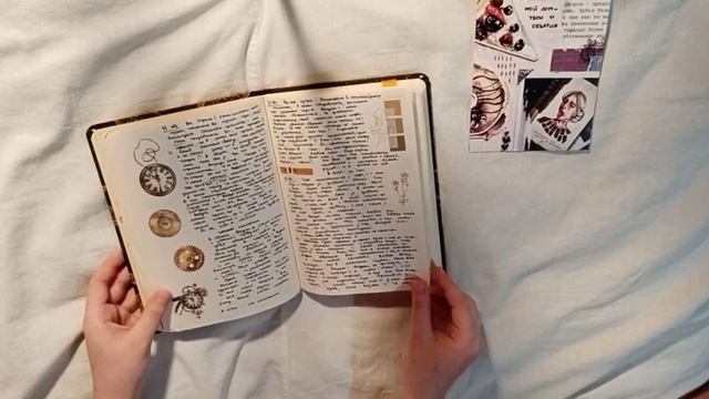 личный дневник с оранжевыми рыбами | закончен | journal flip through