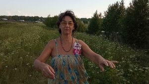 герань полевая