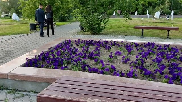 уланудэ тайцзицюань Занятия в парке