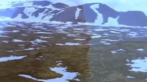 E-Type - I'm Falling