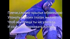 Караоке под гитару: "Голуби целуются на крыше"