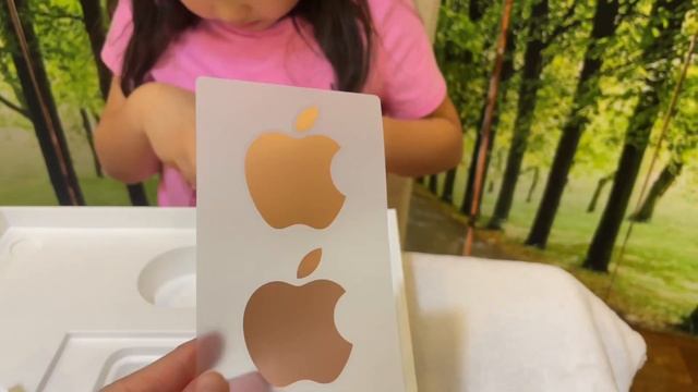 Apple Macbook Air M1 2020  Magic Mouse 2  Thunderbolt Hub Unboxing  Reaction - Gemelle Channel