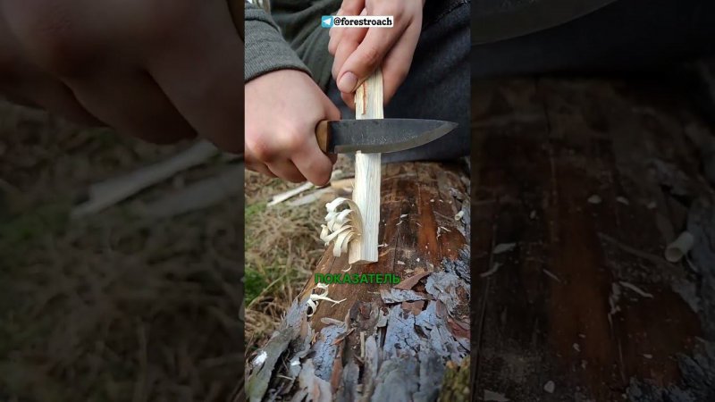 ОГНЕННОЕ ПЕРО-ЛУЧШАЯ РАСТОПКА ДЛЯ КОСТРА? #бушкрафт #wood #выживание #diy #bushcraft #survival