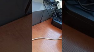 xiaomi Redmi nout 8 pro не заряжается или квакает