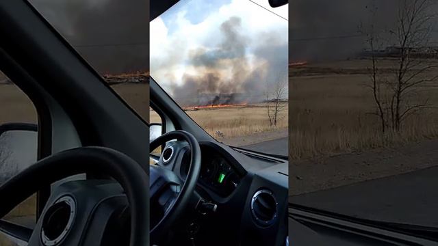 Чита , огонь жара. смотреть онлайн