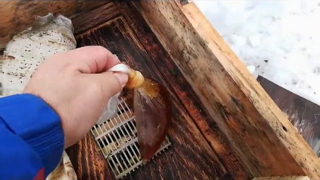 Сибирь,зимовка пчёл на воле без утепления, результат. Часть2 смотреть онлайн