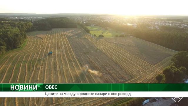 Цените на международните пазари на овес с нов рекорд смотреть онлайн