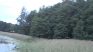 Казахская народная свадебная песня