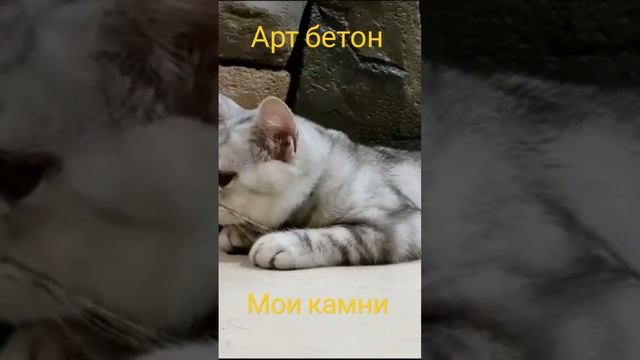 арт бетон, и мой вместо коня