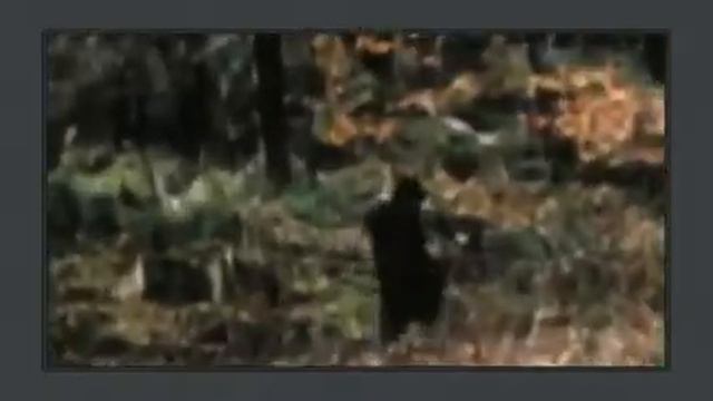 Гриффины. Бигфут смотреть онлайн