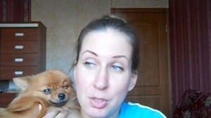 Сухой корм, или каша ? Как приучить собаку есть кашу ? И чем нельзя кормить .