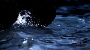 Grivina & VechnoMolodoy - Между нами цунами (I'm   In Love)