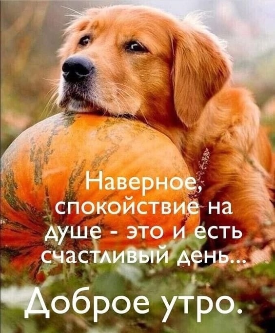 Добрый и Позитивный День! Музыкальная Открытка!