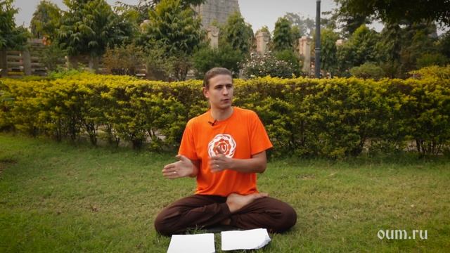 Что такое Дхарма. Арийские Истины. Антон Чудин смотреть онлайн