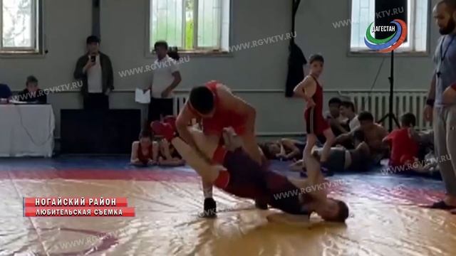 Турнир по вольной борьбе прошел в Ногайском районе смотреть онлайн