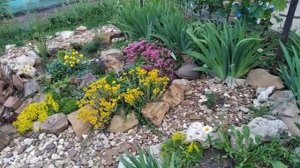 Цветы  на даче/ Горка до и после переделки/ alpine slide in the country.Flowers in the country.