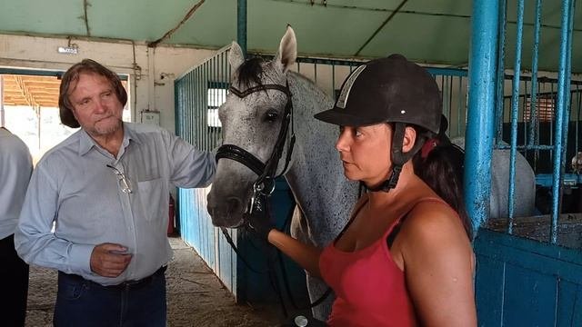 Спортивная школа олимпийского резерва по конному спорту