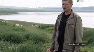 Как сделать деньги на утках . Разведение уток видео