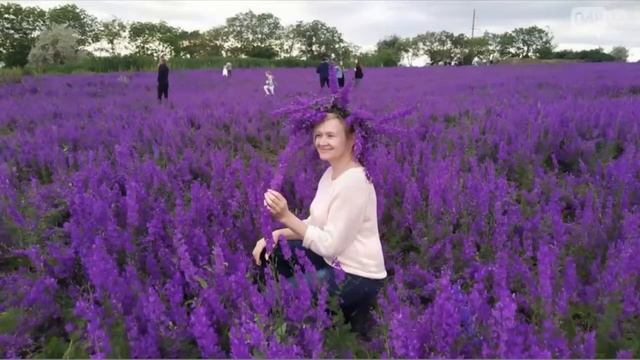 г. Теплодар. Одесской области. смотреть онлайн