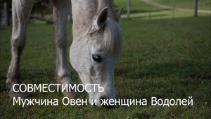 Совместимость мужчины Овна и женщины Водолея