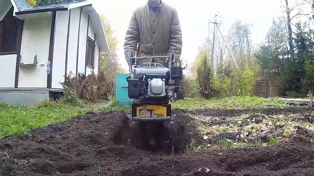 МИНИкультиватор ОСЕННИЕ РАБОТЫ