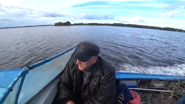 КАК СПОЙМАТЬ СИГОВ В БЕЛОМ МОРЕ!ЧАСТЬ ПЕРВАЯ! смотреть онлайн