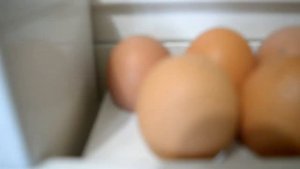 Чем отличаются куриные яйца по маркировке С0, С1.....