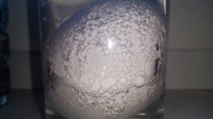 Что будет если поместить яйцо в уксус и воду? Часть 1