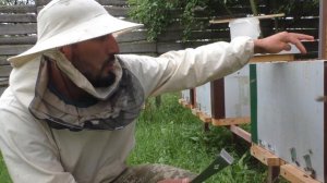 Улей из ЭППС смотрим как себя ведет в процессе эксплуатации 29.05.2019