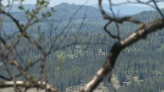 Презентация проекта Седьмое небо. смотреть онлайн