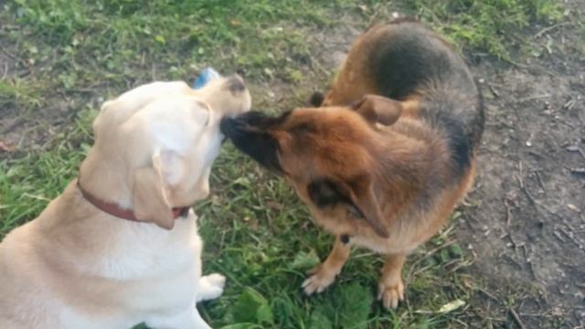 Мы делили апельсин.. смотреть онлайн