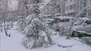 Зима вернулась. г.Ачинск. 20.04.24г. Автор видео Елена Цыганова.