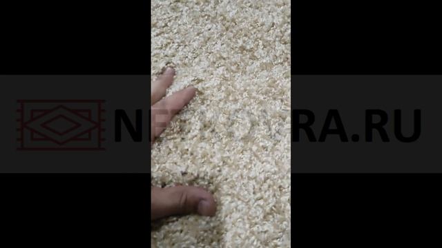 Шегги Фьюжен смотреть онлайн