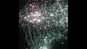 С 515 Green str mine green tail blast purple dahlia w green str 10 сек Тип S 1.2” X 49 №332