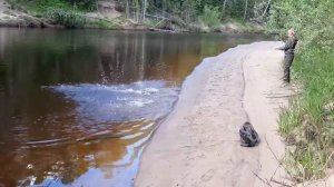 Щука на миногу.