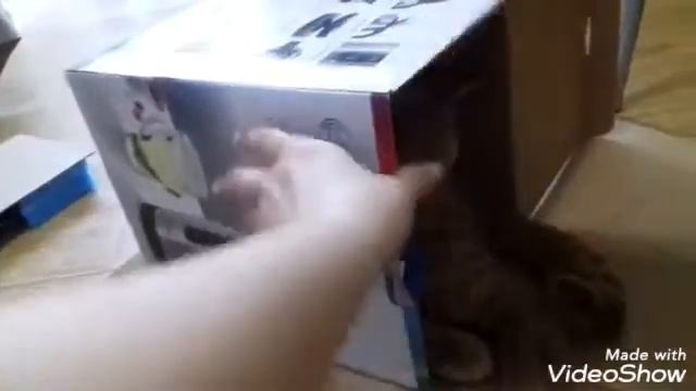 Делаем домик из картона для кота. ? смотреть онлайн