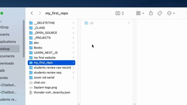 1. Git and Github basic operations - Glimpse of Saylani Ai Chatbot Batch 2
