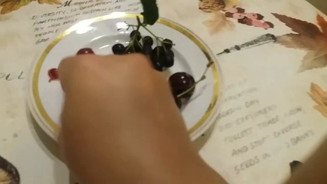 MUKBANG ВИШНЯ, ЧЕРЕШНЯ AND ЧЕРНОПЛОДНАЯ  РЯБИНА / MUKBANG CHERRIES, SWEET CHERRIES, RYABINA HITAM
