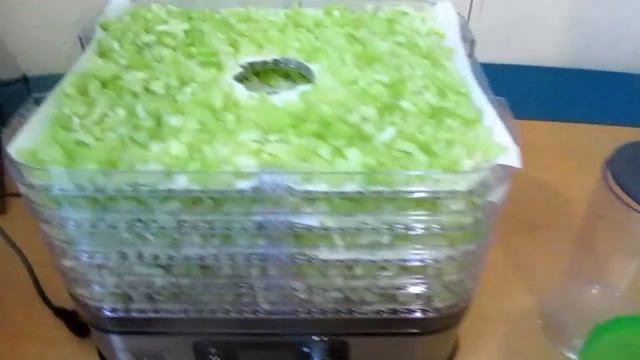 Органическая соль Полезная соль Сельдерейная соль