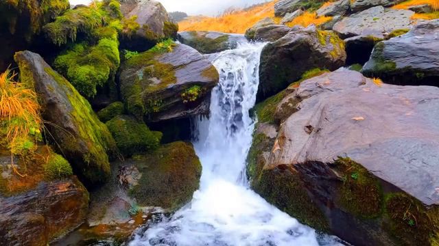 Gayatri Mantra. This mantra has the greatest healing power ֍ It erases all negative energy. смотреть онлайн