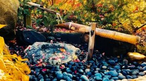 Релакс в японском саду дзен, стук бамбука, пение птиц  | Шиши Одоши | 1 час | Сон, медитация |