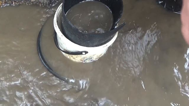 По тихому мою золото на минишлюзе в 2020г!!!