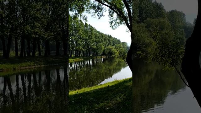 Про суть йоги и цигун | Практики развития сознания и духа