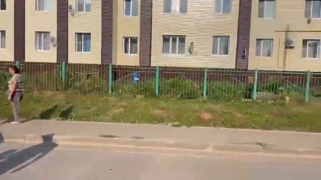 Шемордан, ул. Фрунзе 2Б (у входа)