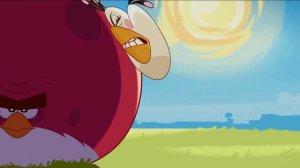 Angry Birds Cartoon Movie - The Angry Birds Movie - Angry Birds and Bad Piggies