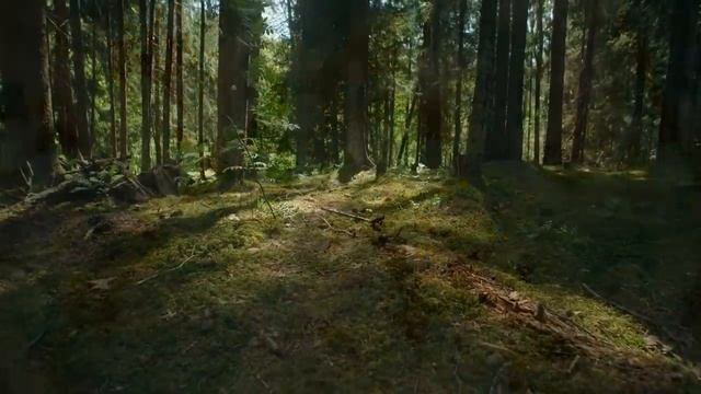 Пасхальная Неделя 2023. Что нельзя делать Пасхальная Неделя. Народные традиции и суеверия