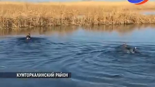 Набиюла Карачаев проинспектировал состояние водных объектов в РД смотреть онлайн